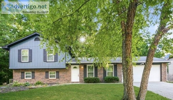 Homes for rent