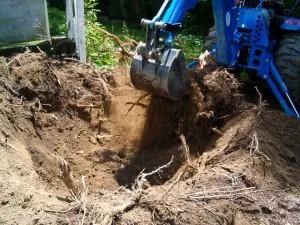 Stump Removal and Stump Grinding Company in Rockland NY