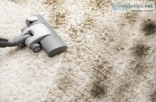 Professional Dust Mite Cleaning Services