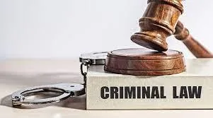 Criminal advocate in Delhi