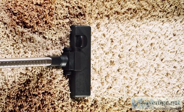 Finest Carpet Mould Damage Removal Perth