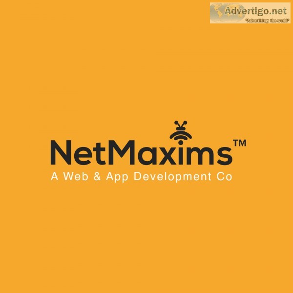 Netmaxims technologies