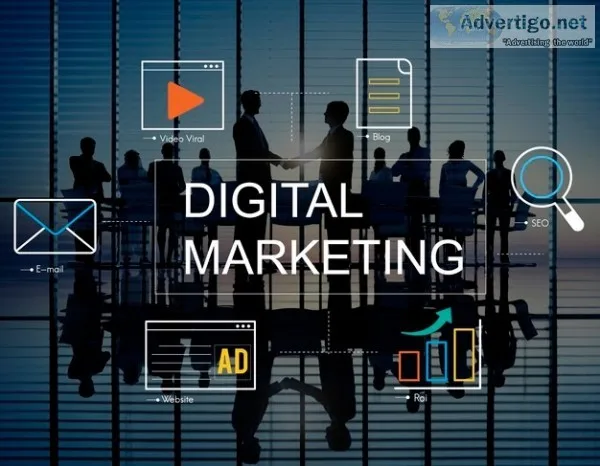 Web development and seo services