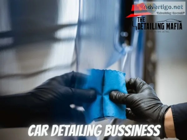 Want to start a car detailing business - The Detailing Mafia