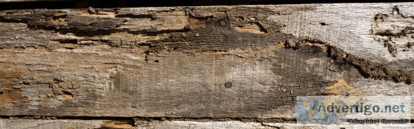 Termite Remediation - Del Valle Pest Control