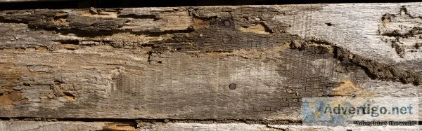 Termite Remediation - Del Valle Pest Control