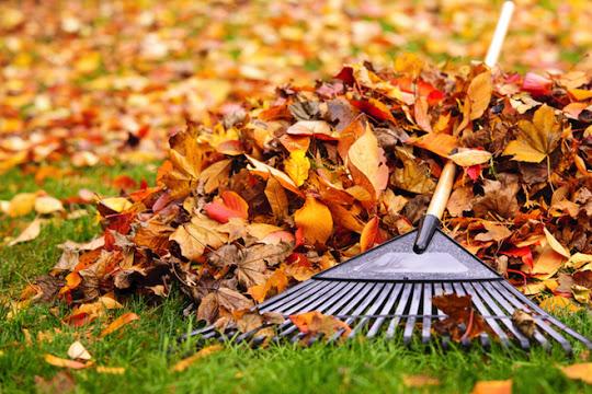 Fall Cleaning services at highly-competitive and affordable budg