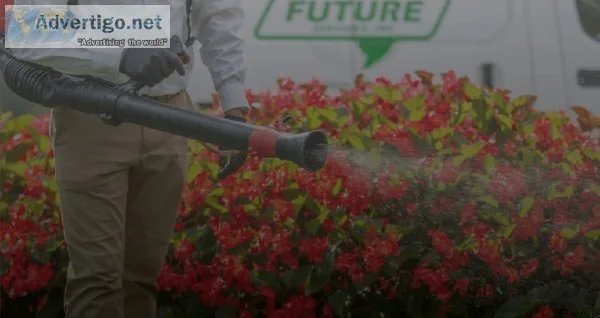 Future Services Inc. Get Superior Pest Control Services in Marie