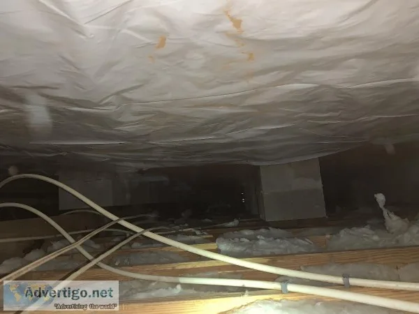 Crawlspace work