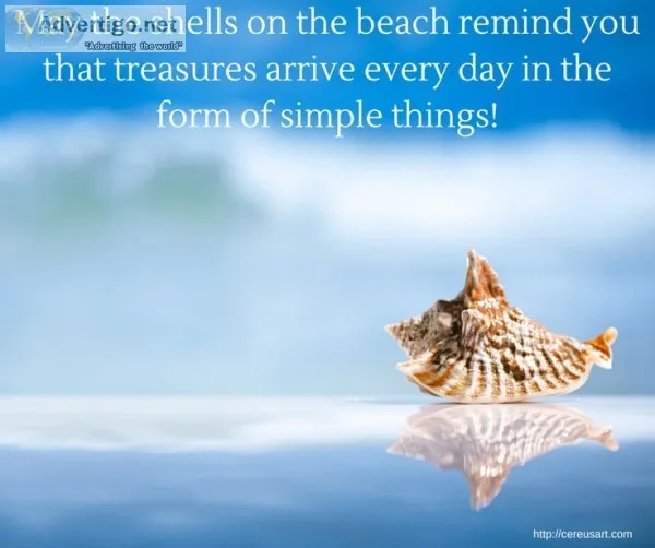 Suzy s sandbox - information website