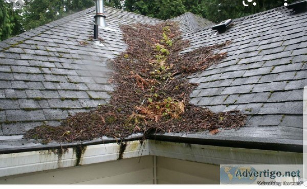 Roofing Services