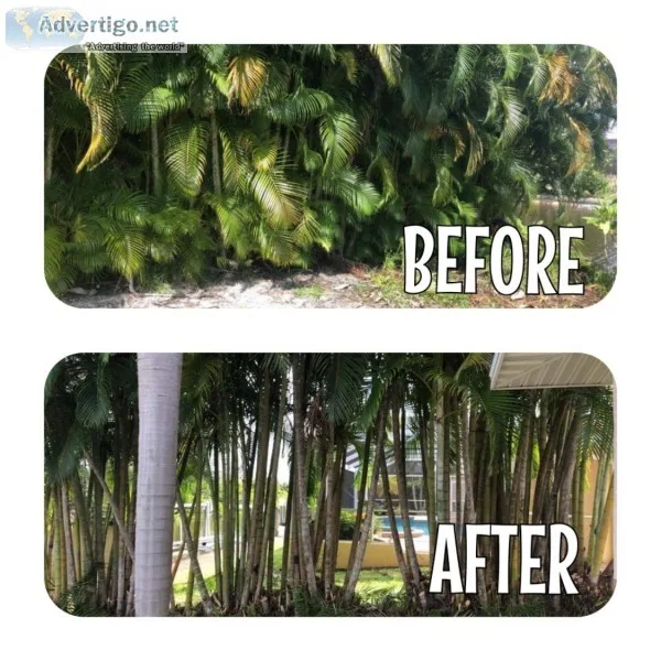 LAND CLEARING POND DIGGING - STORM PREP- TRIM and REMOVE