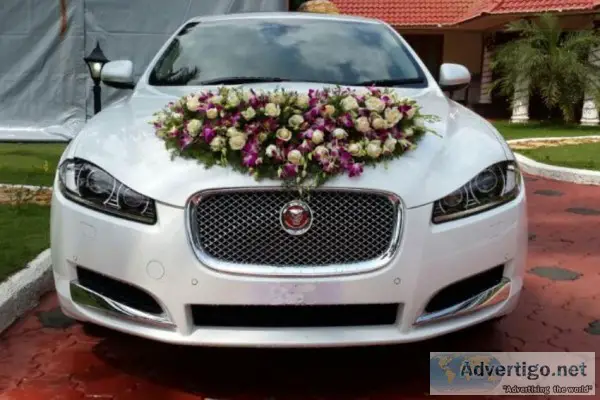 Luxury car rent for marriage in delhi - royal luxury car rentals