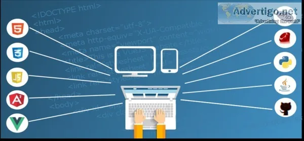 Web app development services 