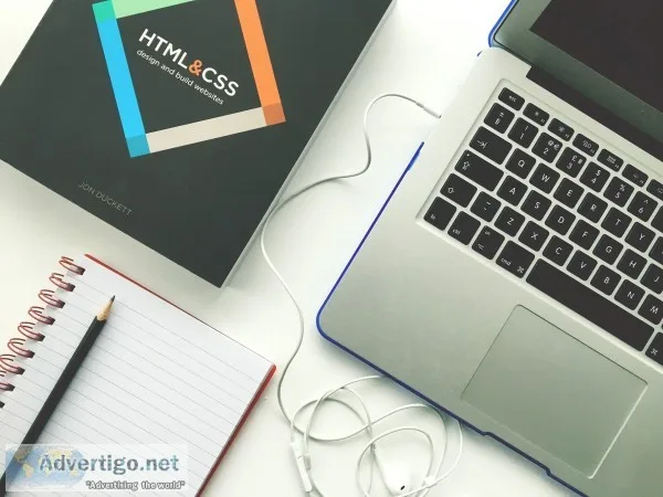 Web app development services 