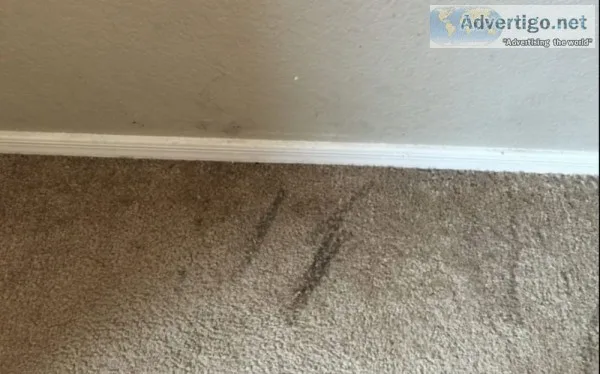 Carpet hole repair melbourne - master carpet repair melbourne