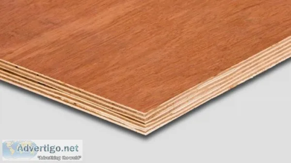 Best Quality Flush Doors Manufacturers in India
