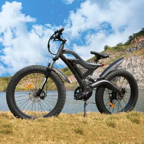 Aostirmotor Folding Electric Bike With 500W Motor