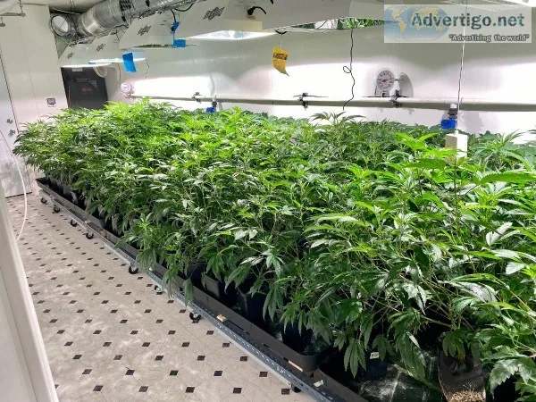 Control the Moisture Level Inside Your Commercial Grow Room with