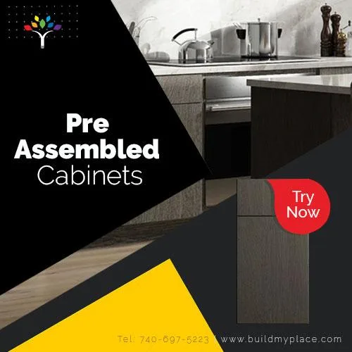 Pre Assembled Kitchen Cabinets Perfect Designs