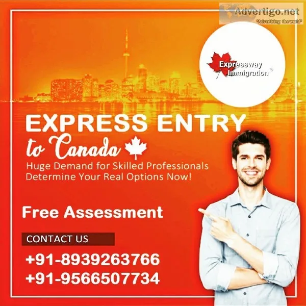 Visa consultants