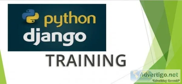 Python training and certification