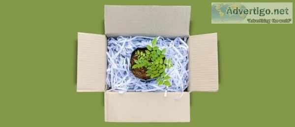 Best Recyclable Jewellery Packaging