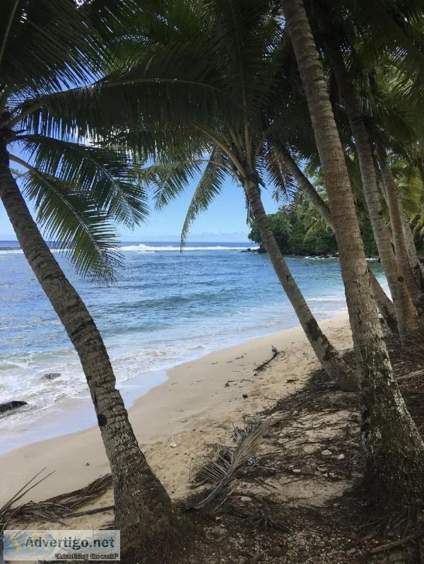 Remote Travel Agent
