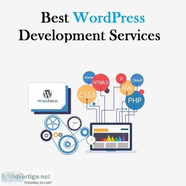 Get Custom WordPress Development Services in DelhiNCR