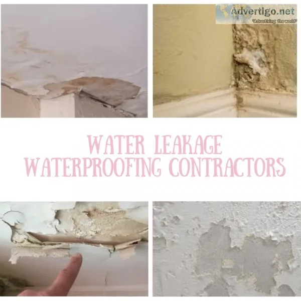 Wall Water Leakage Waterproofing
