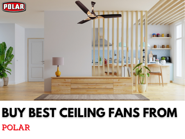 Want Decorative Ceiling Fans For That Mesmerizing Dining Room