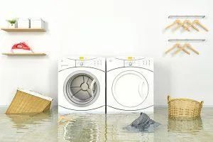 Water Damage Cleanup Lapeer