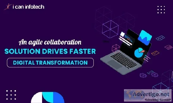 Looking For Digital Transformation Provide Digital Platform Deve