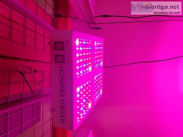 600-Watt LED Grow Light