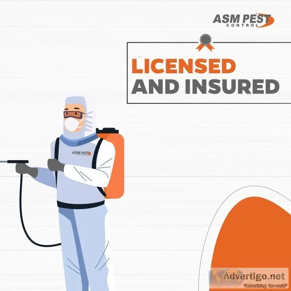 Pest control service providers in vancouver