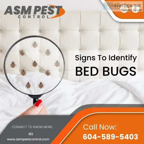 Pest control service providers in vancouver