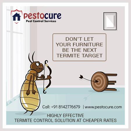Termite Control in Madhapur HiTech City Hyderabad