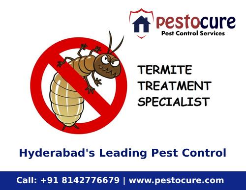 Anti Termite Treatment in Miyapur Hyderabad