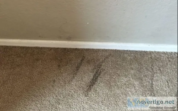 Carpet Hole Repair Melbourne - Master Carpet Repair Melbourne