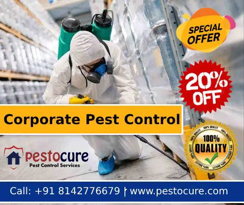 Corporate Pest Control Services in Hyderabad