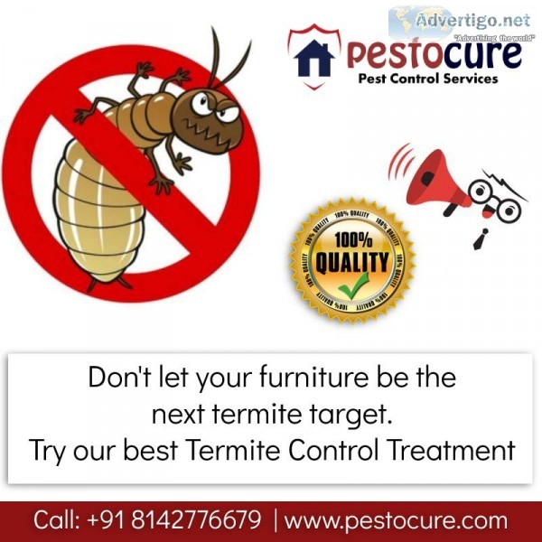 Termite Control Services in Kukatpally Hyderabad