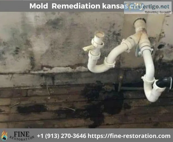 Top Mold Remediation Service in Kansas City