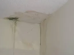 Water leakage Waterproofing Services