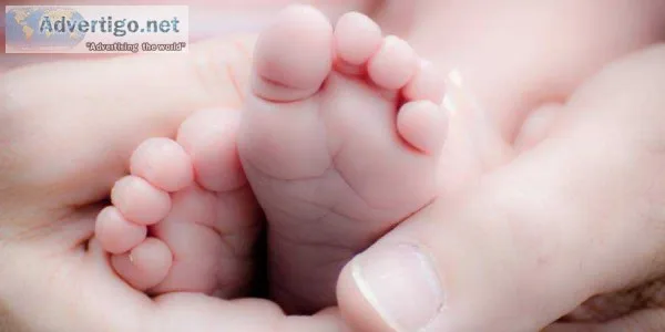 Top ivf treatment centers in bangalore - vinsfertility
