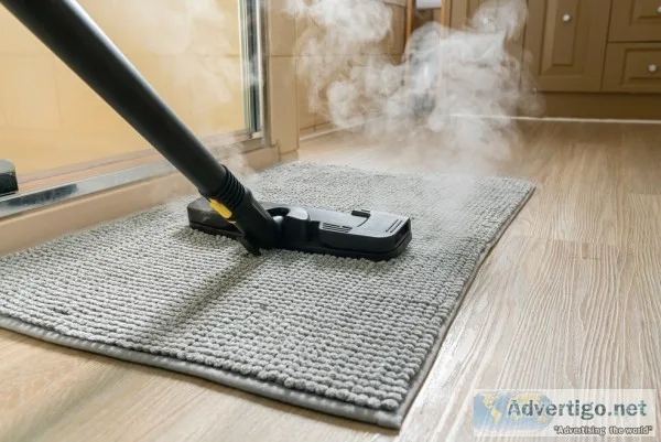 Most Reliable Carpet Mould Removal Hobart