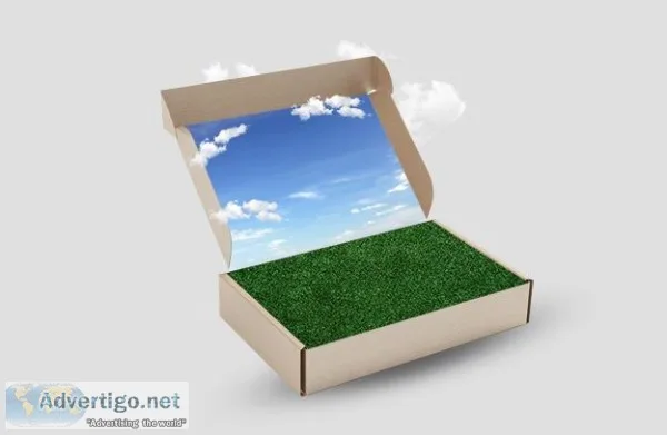 Sustainable Cosmetic Packaging in Delhi