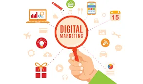 Website Designing Company in Panchkula