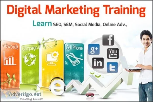 Digital Marketing Company in Panchkula