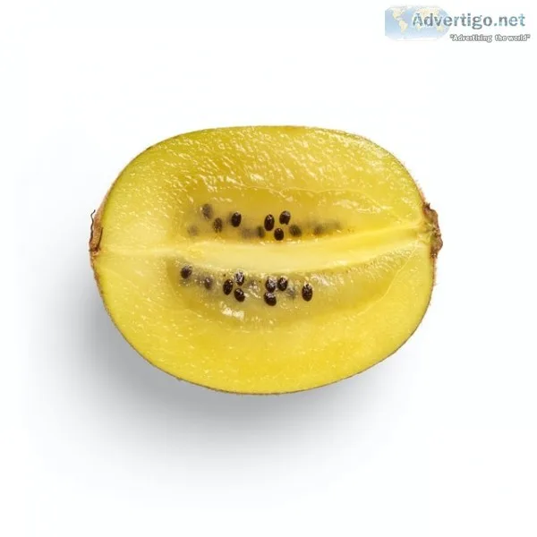 Kiwi exporter