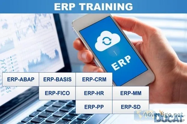 Best Institute for ERP Training Course in Delhi